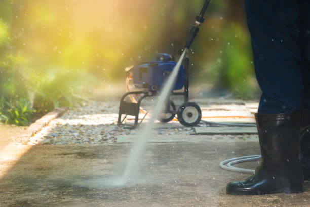 Best Roof Cleaning and Mildew Removal in Emmetsburg, IA